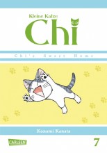 Kleine_Katze_Chi_07