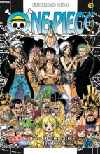 One_Piece_78