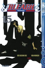 bleach-band-15