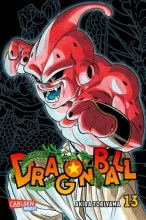 dragon-ball-massiv-13
