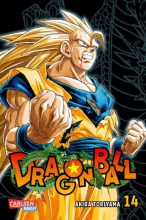 dragon-ball-massiv-14