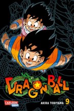 dragon-ball-massiv-9