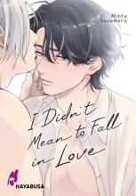 i-didn-t-mean-to-fall-in-love_2