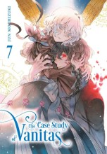 the-case-study-of-vanitas-7