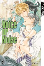 voice-or-noise-cover-05